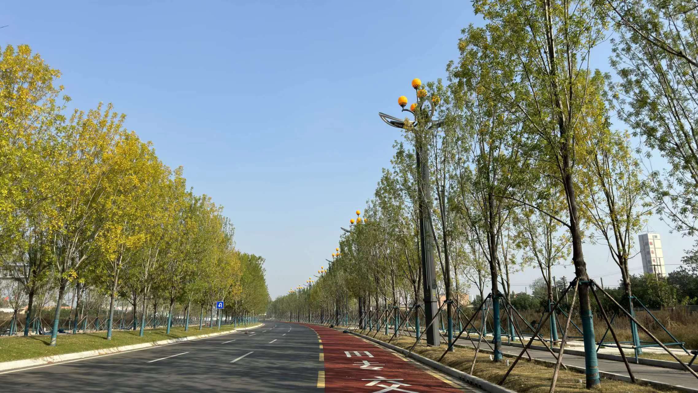 又上央視了！這次是因為“它”